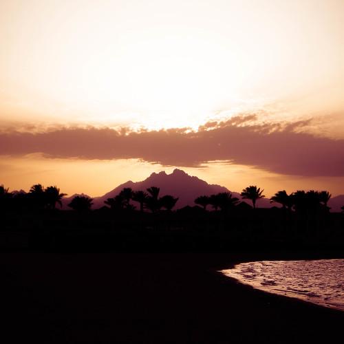 Photo #4493928