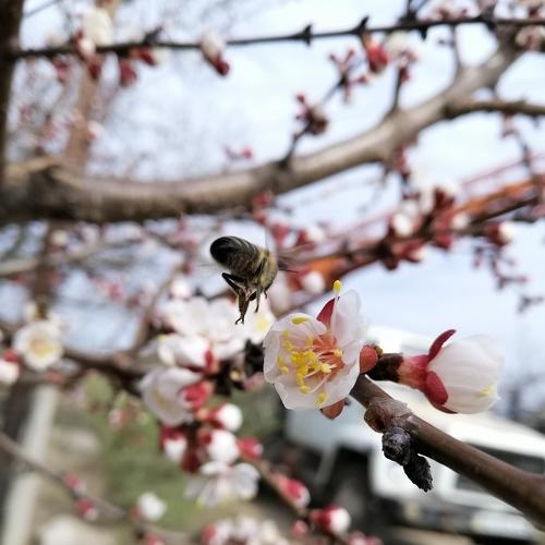 Photo #4494680