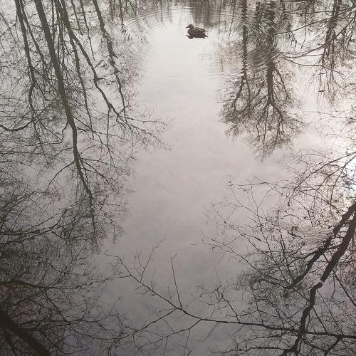 Photo #4494899