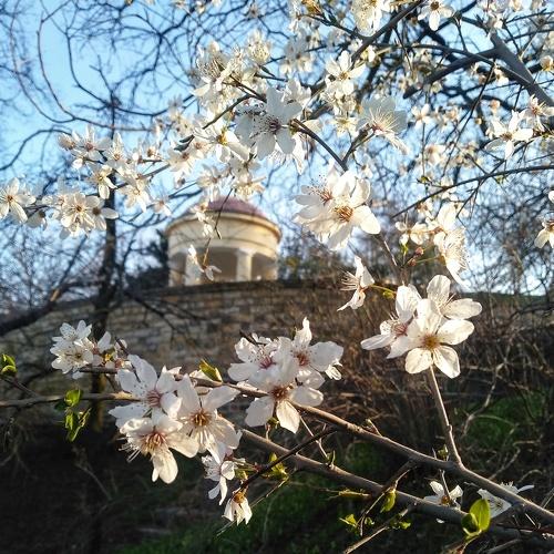 Утреннее солнце очень нежное