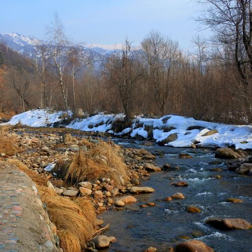 Photo #4494993