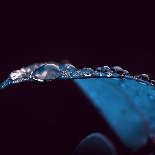 Photo #4495293