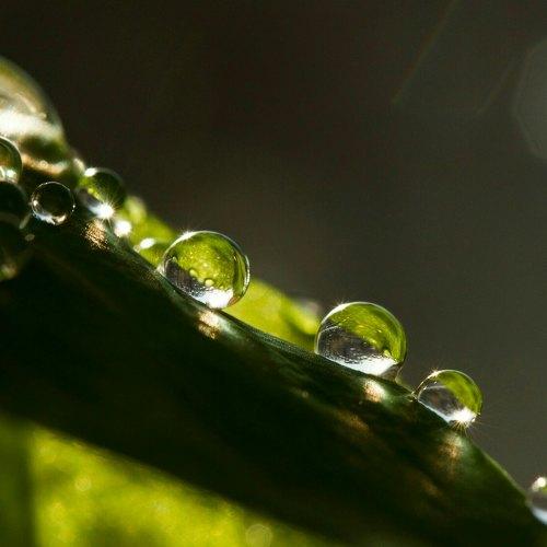 Photo #4495298