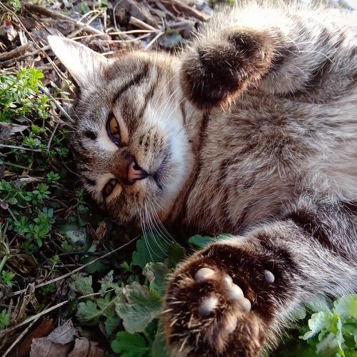 Photo #4495553