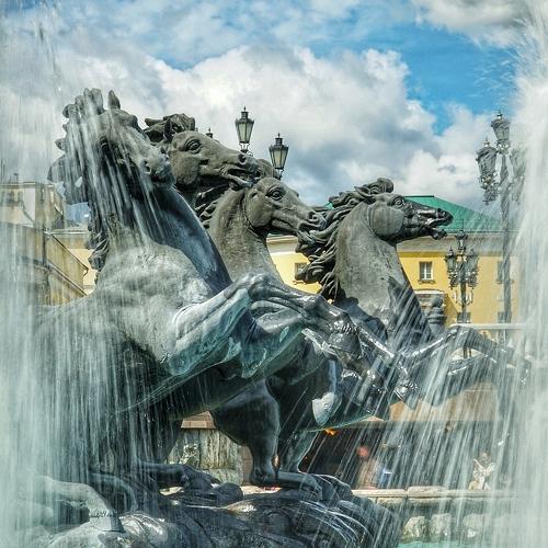 Photo #4495782