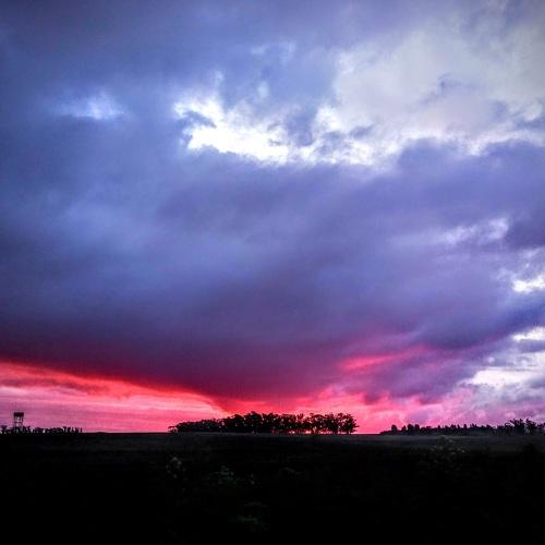 Photo #4495861