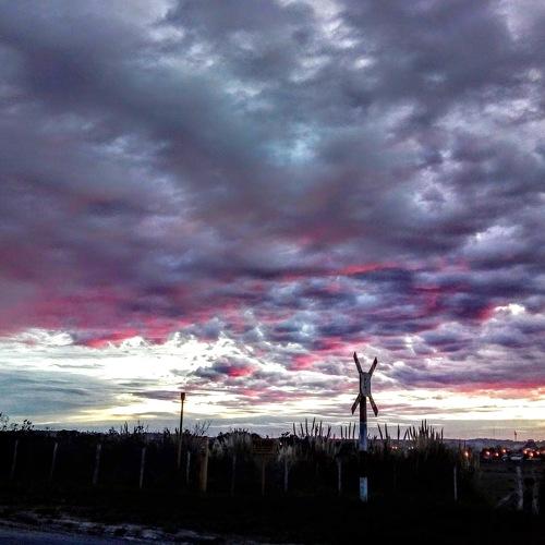 Photo #4495862