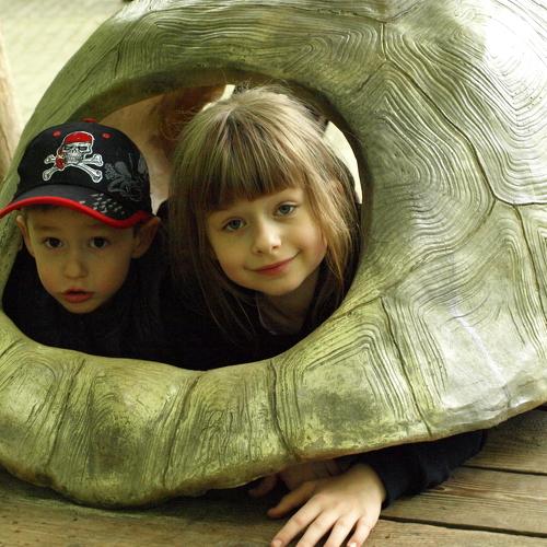 Photo #4496064