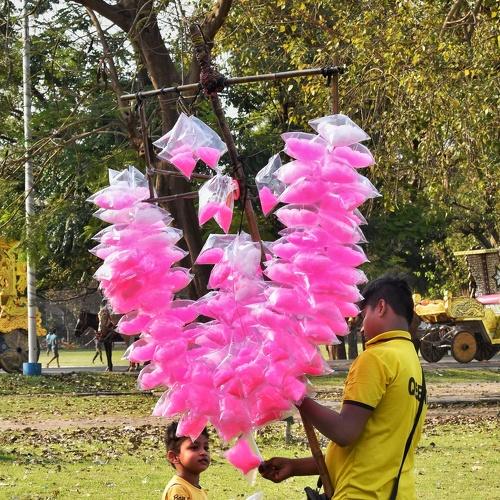 Photo #4496098