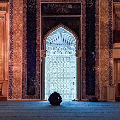 Photo #4496450