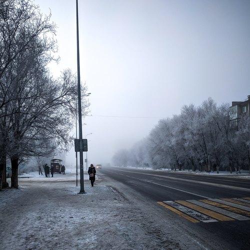 Photo #4496453