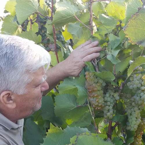 Photo #4496483
