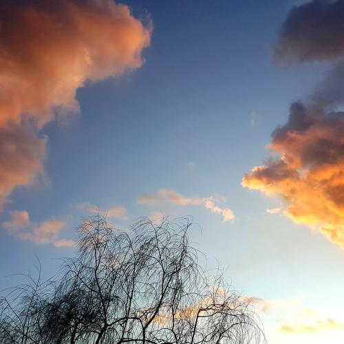 Photo #4496504