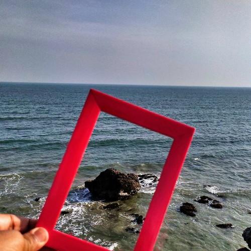 Photo #4496705