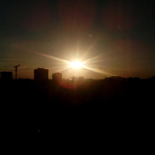 Photo #4496842