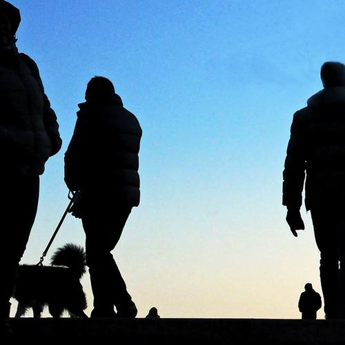 Photo #4496857
