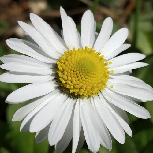 Photo #4496863