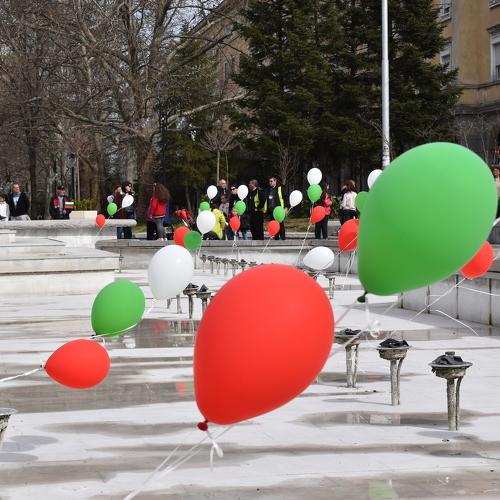 Photo #4496868