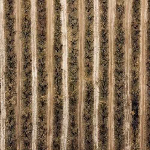 Photo #4497049