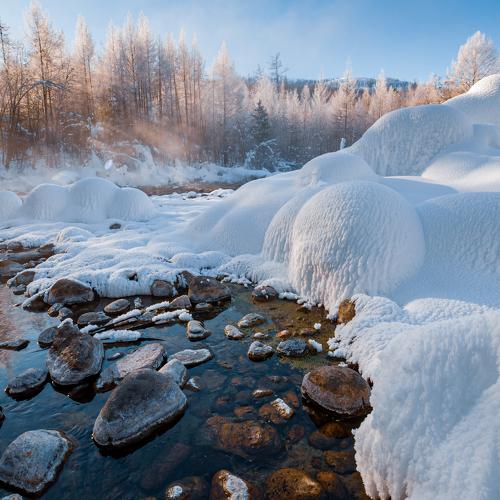 Photo #4497323