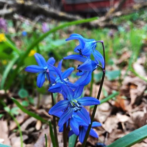 Photo #4497672