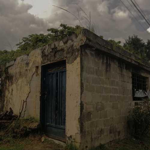 Photo #4497765