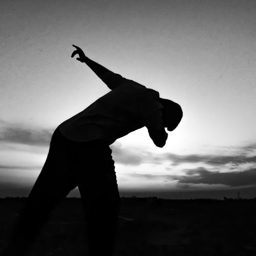 Photo #4497957