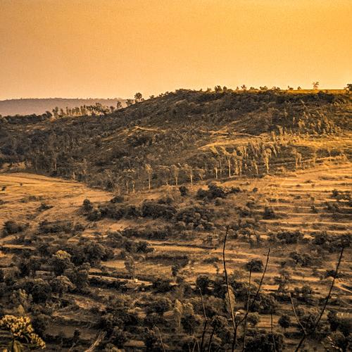 The Golden Mountain