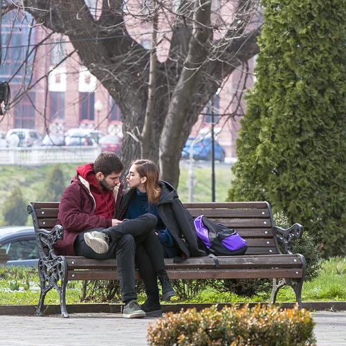 Photo #4498058