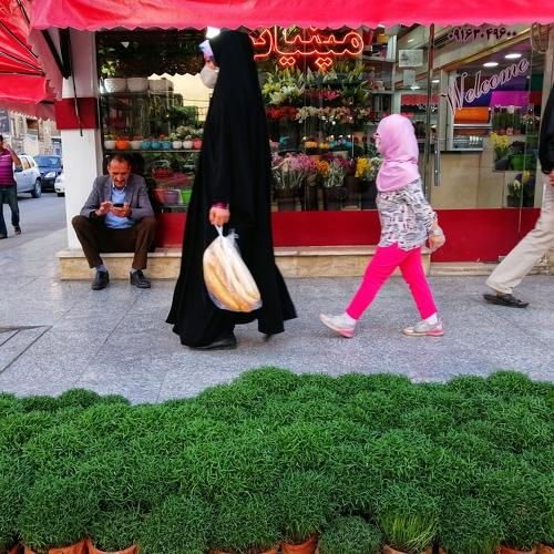 Photo #4498624