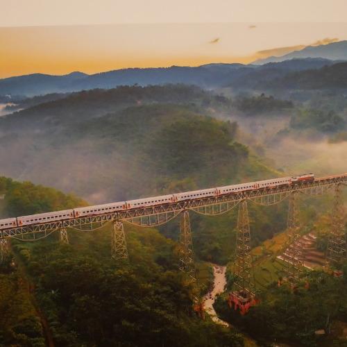 Photo #4499011