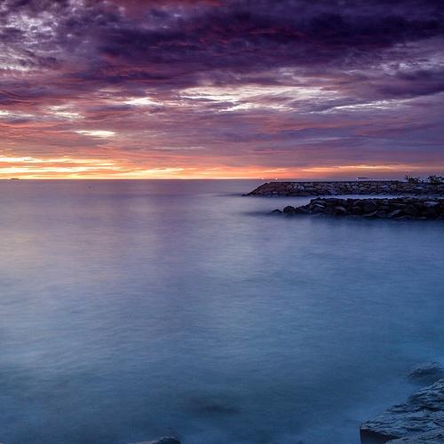 Photo #4499027