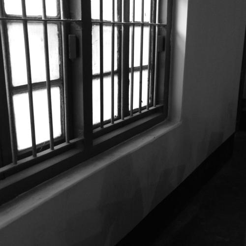 Photo #4499334