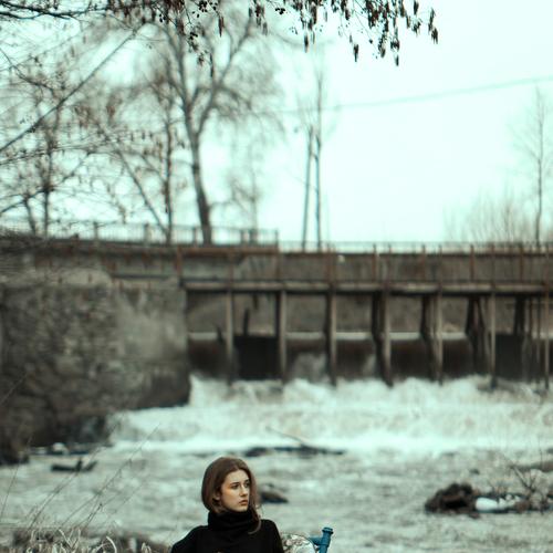 Photo #4499473