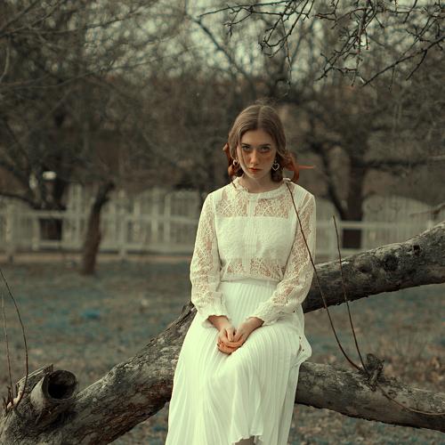 Photo #4499474