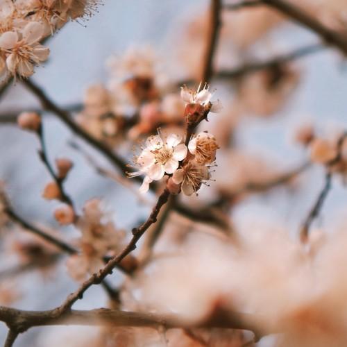 Photo #4499800