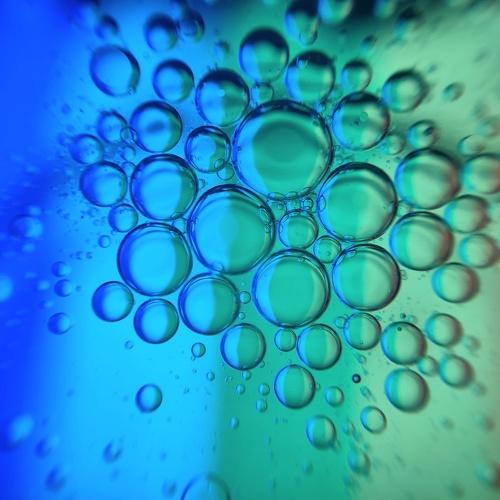 Photo #4499808