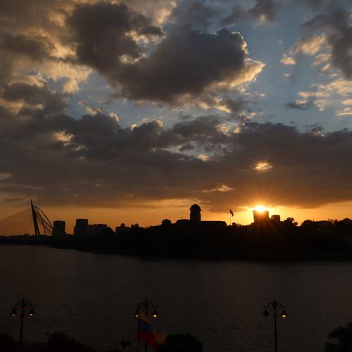 Photo #4499861