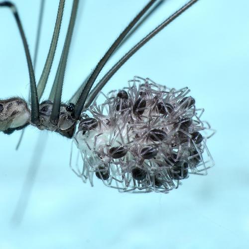 Photo #4499944