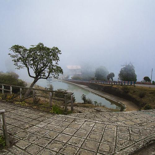 Photo #4500275