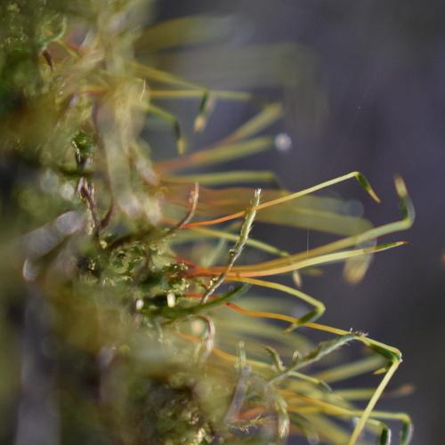 Photo #4500655