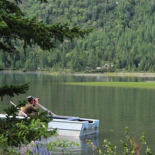 Photo #4501380