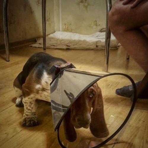 Photo #4501861