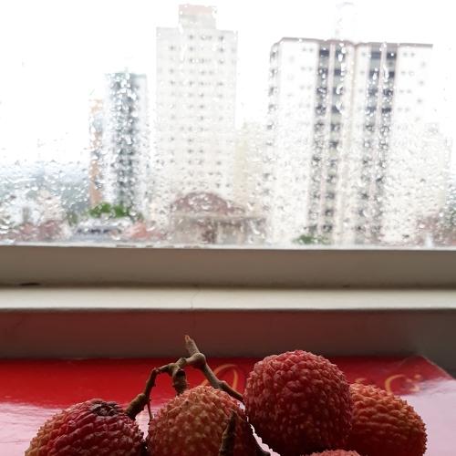 Photo #4501959