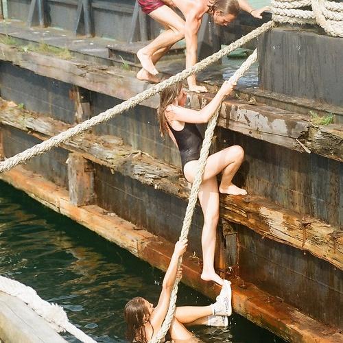 Photo #4502043