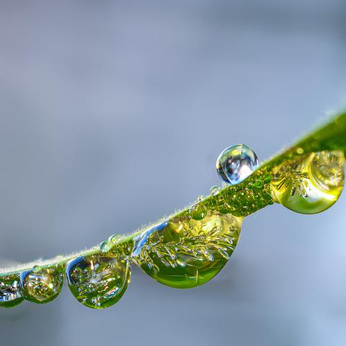 Macro drops