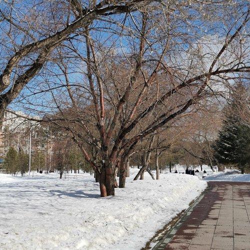 Photo #4502271