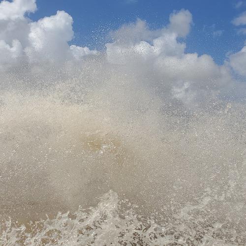 Photo #4502467