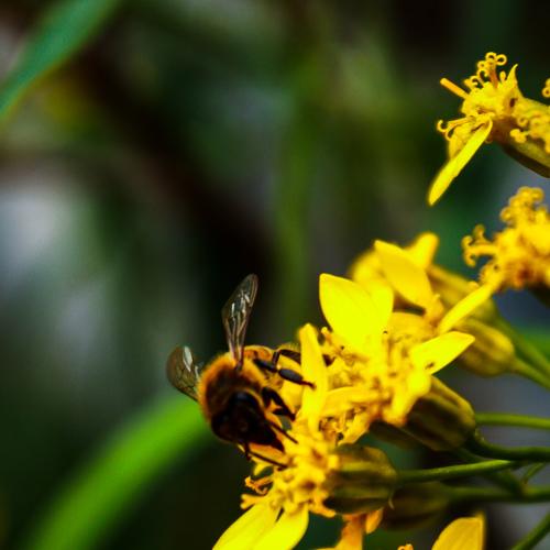 Photo #4502510