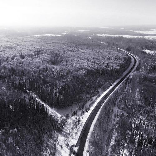 Photo #4502550
